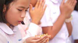 ประมวลภาพธรรมยาตราปีที่ 7 รวมทุกวัน  