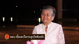 พลังบุญธรรมจักร Season 2