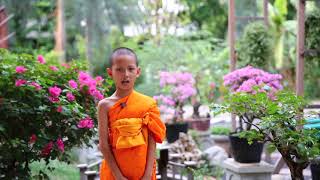 สามเณรแสดงธรรม 2562