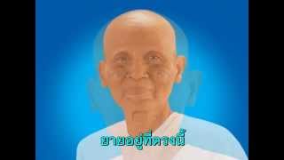 คุณยายอยู่ตรงนี้