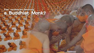 Buddhist Monk (Highlights)