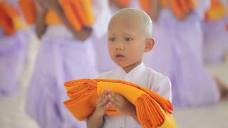 พิธีบรรพชาธรรมทายาทภาคฤดูร้อน ปี พ.ศ. 2561 จำนวน 7 รุ่น ณ วัดพระธรรมกาย