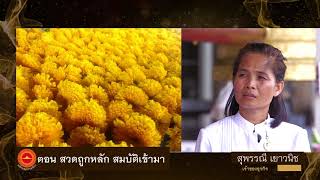 พลังบุญธรรมจักร