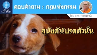 ฝันในฝัน Case Study