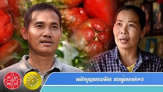 พลังบุญธรรมจักร