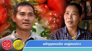 พลังบุญธรรมจักร