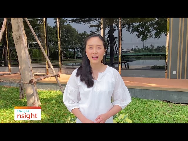 Bright Insight