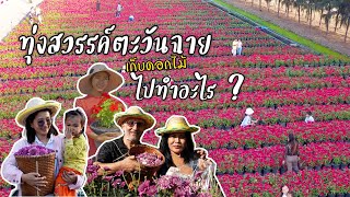 EP.1 ทุ่งสวรรค์ตะวันฉายเก็บดอกไม้ไปทำอะไร V-Flower เบื้องหลังธรรมยาตราปีที่​13