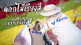 EP.2 V-Give V-นี้มีแต่ให้ เบื้องหลังธรรมยาตราปีที่​13